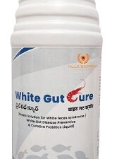 White Gut Cure