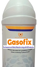 Gasofix